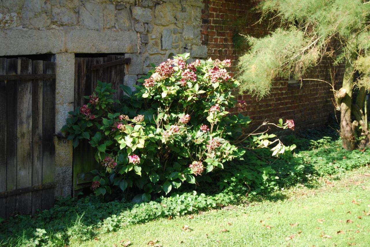 Gite La Grange D'Herbuchenne 디넝 외부 사진